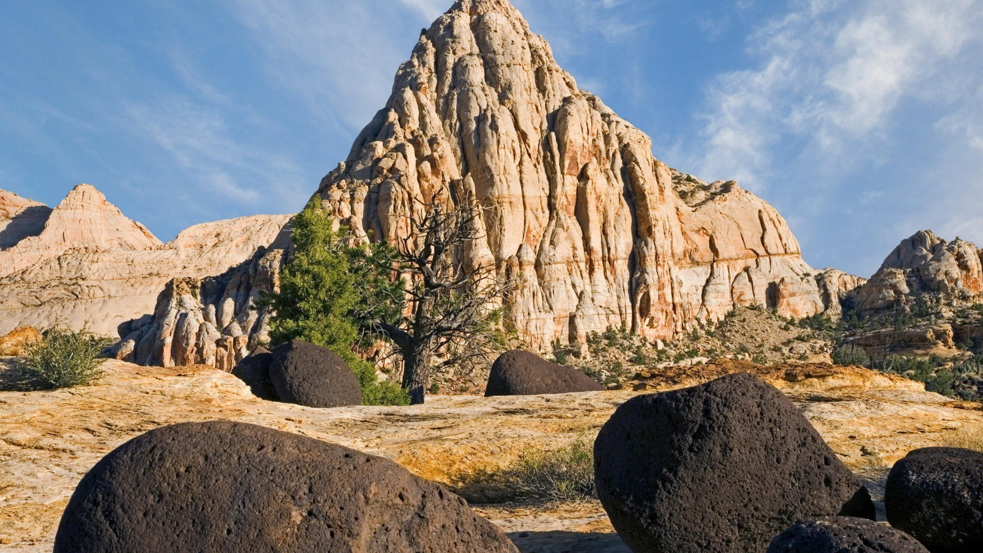 Пустынный пейзаж