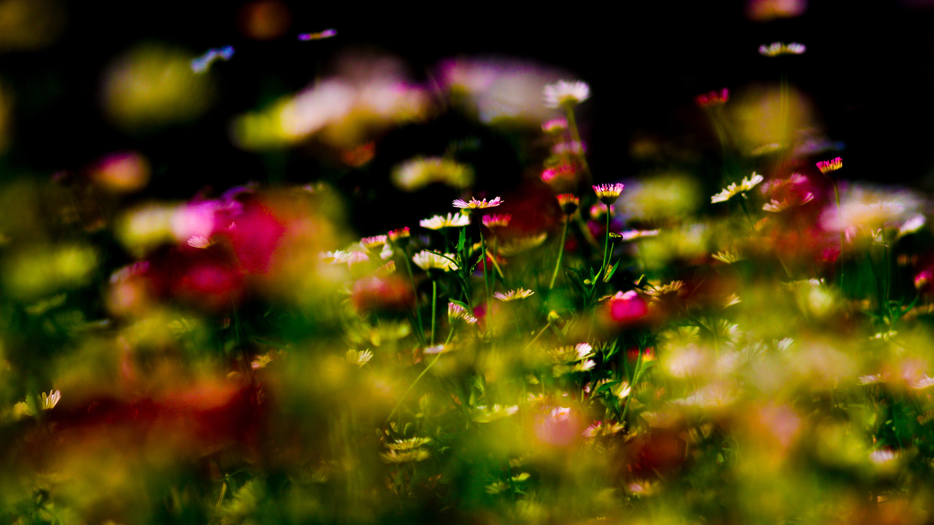 Цветочный ковер