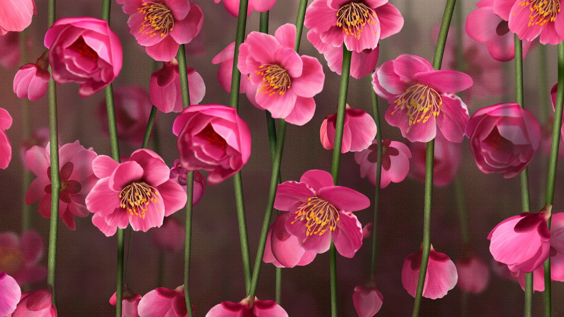 Рисунок цветов