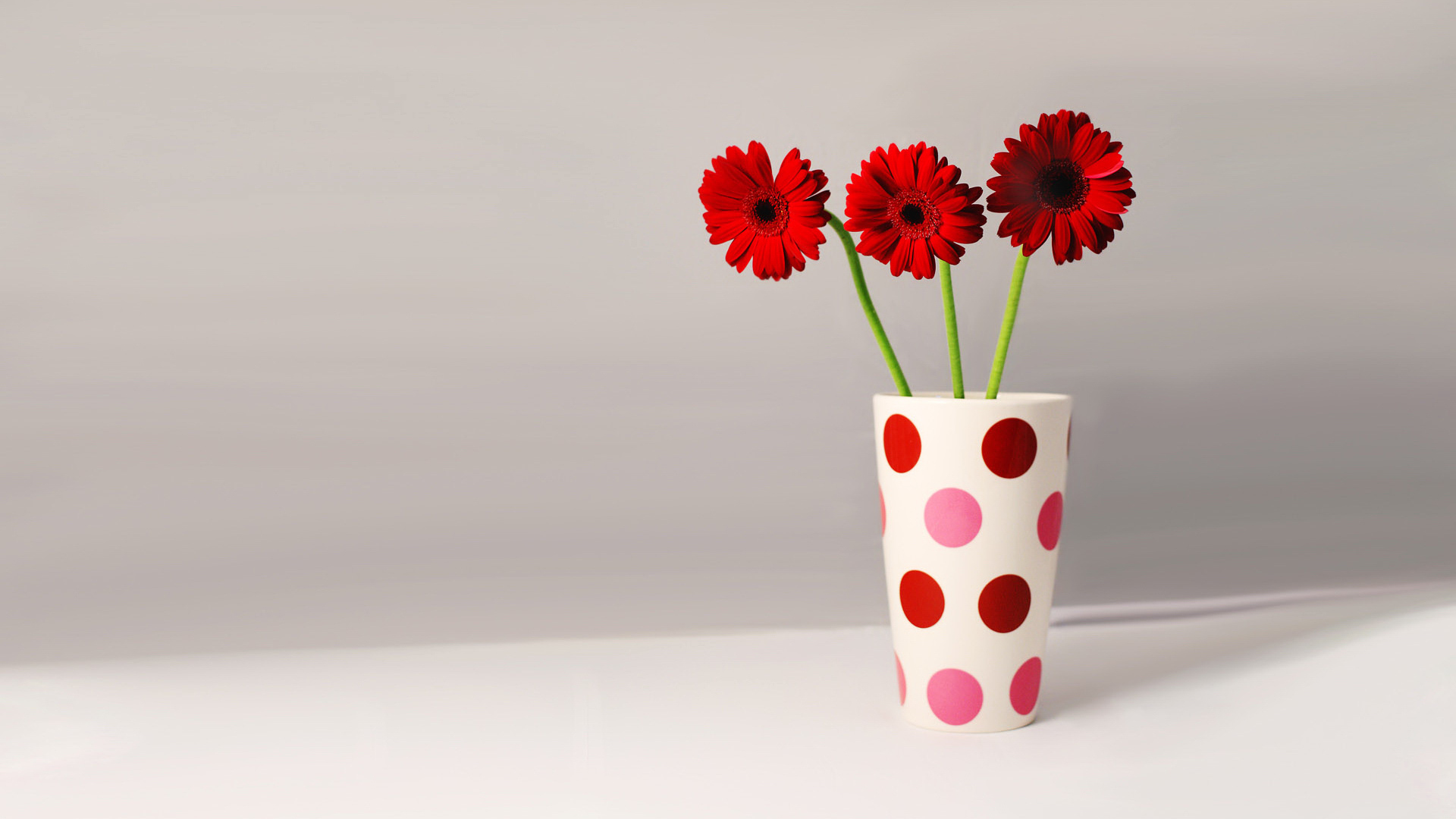 Три герберы