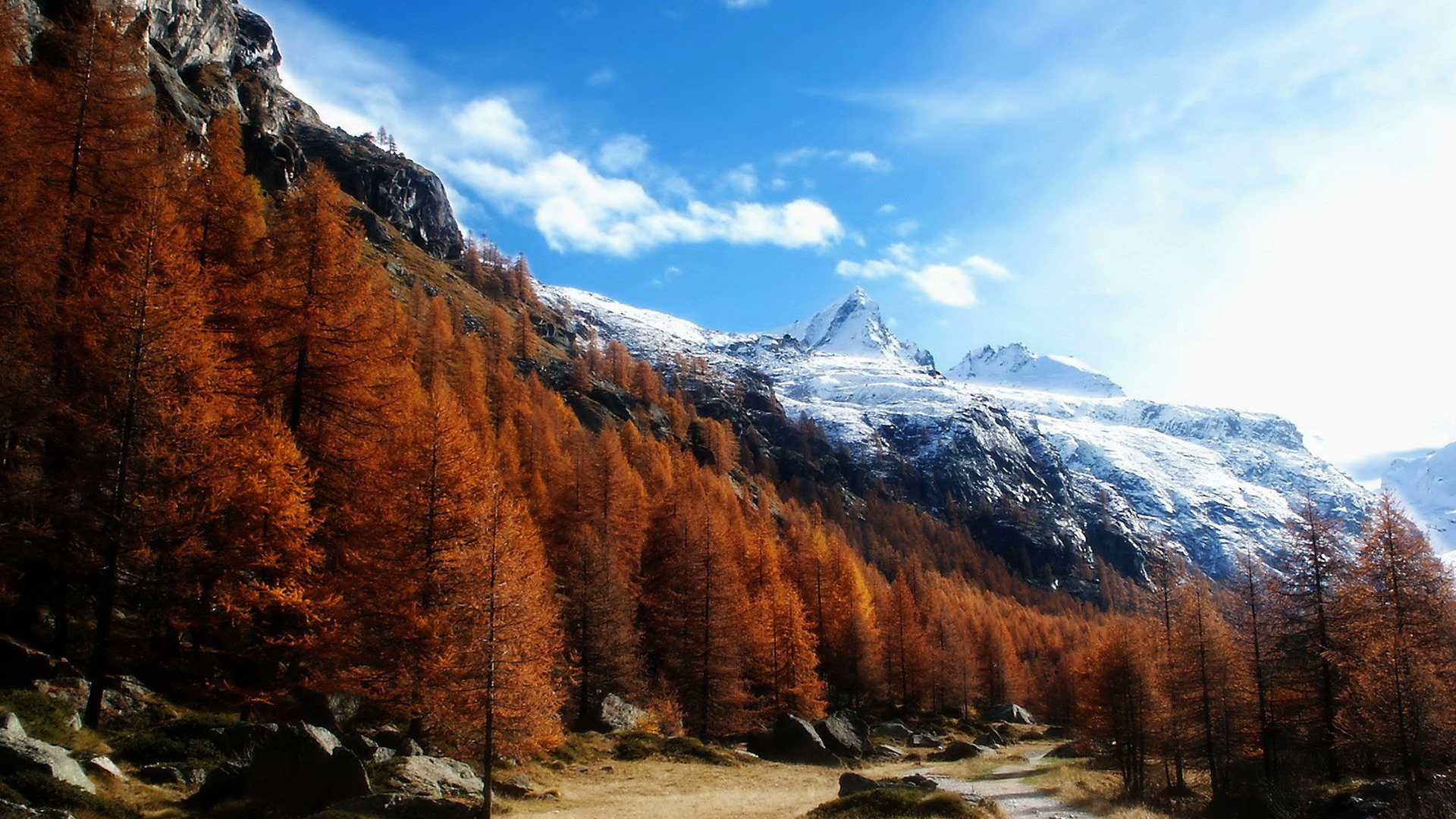 Высокогорный пейзаж