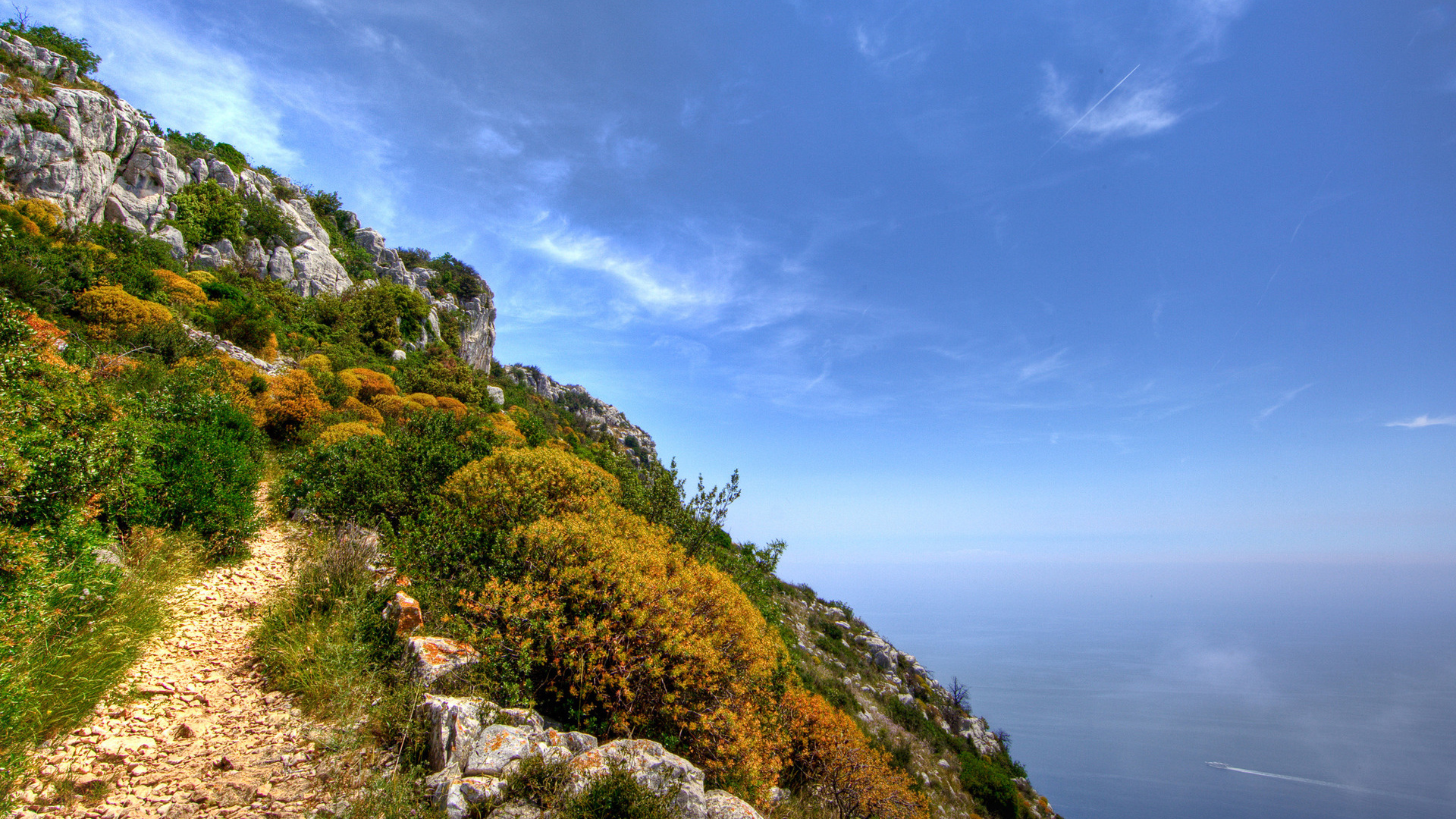 На вершине цветущей скалы