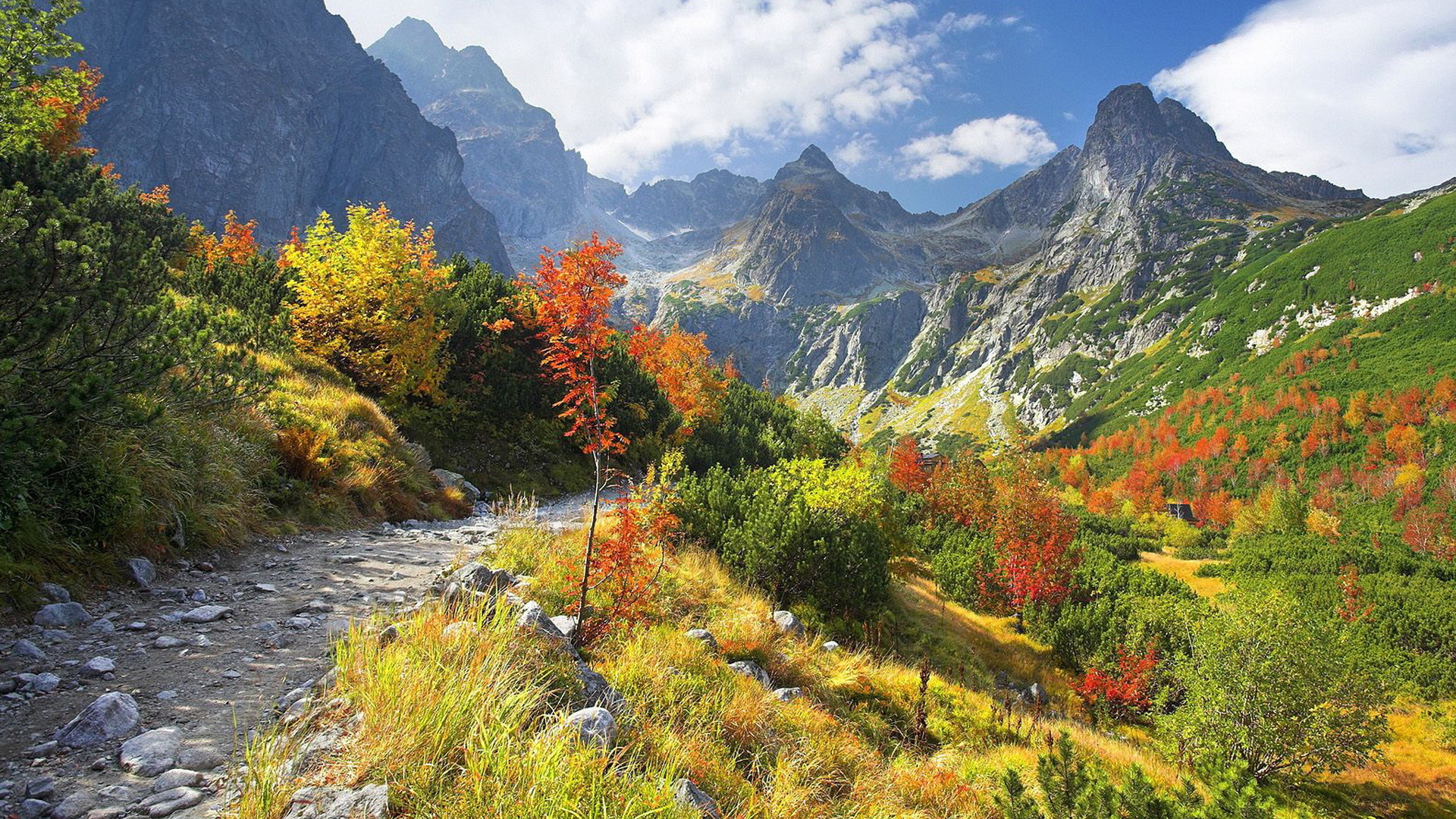 Горная тропа