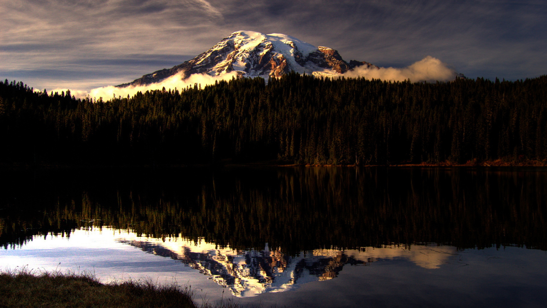 Горы за лесом