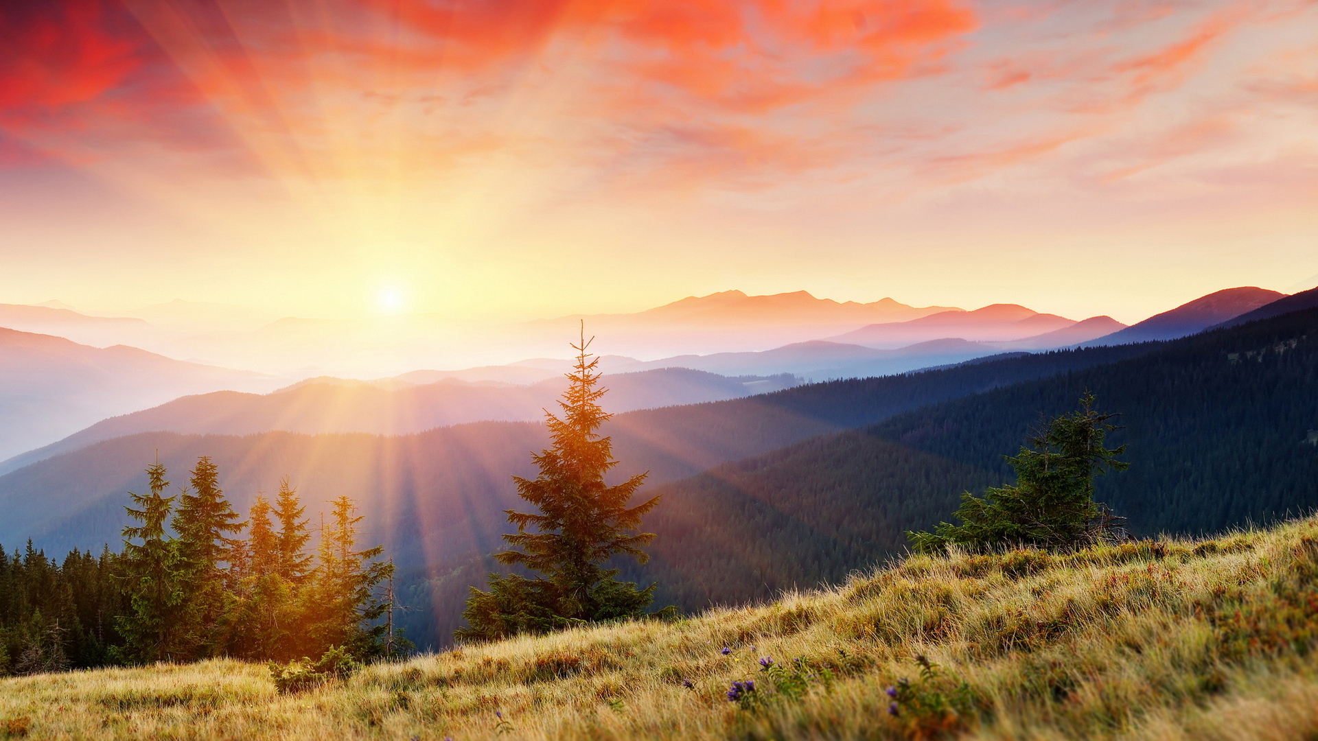 Горы покрытые лесом