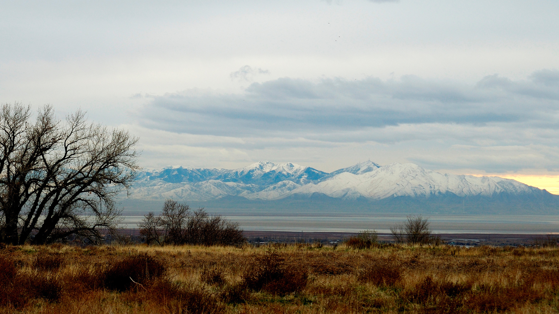 Снежные вершины