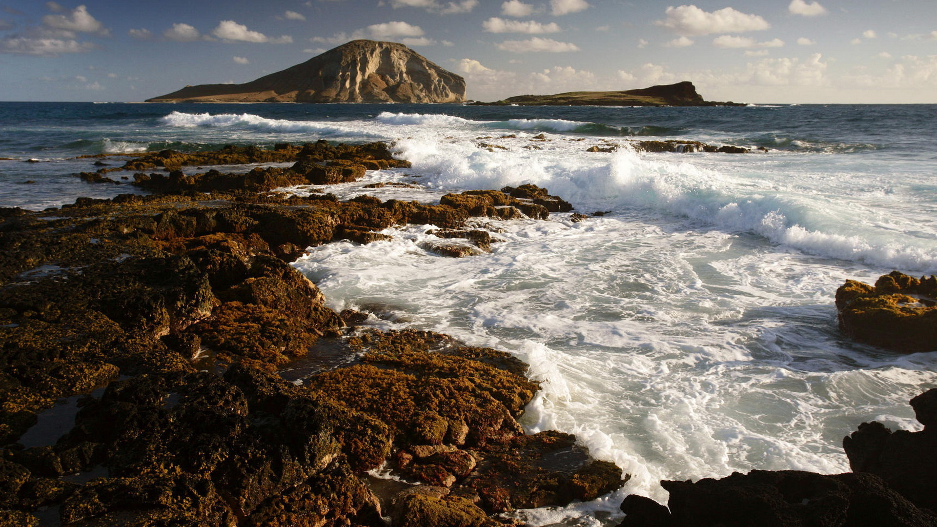 Морской берег