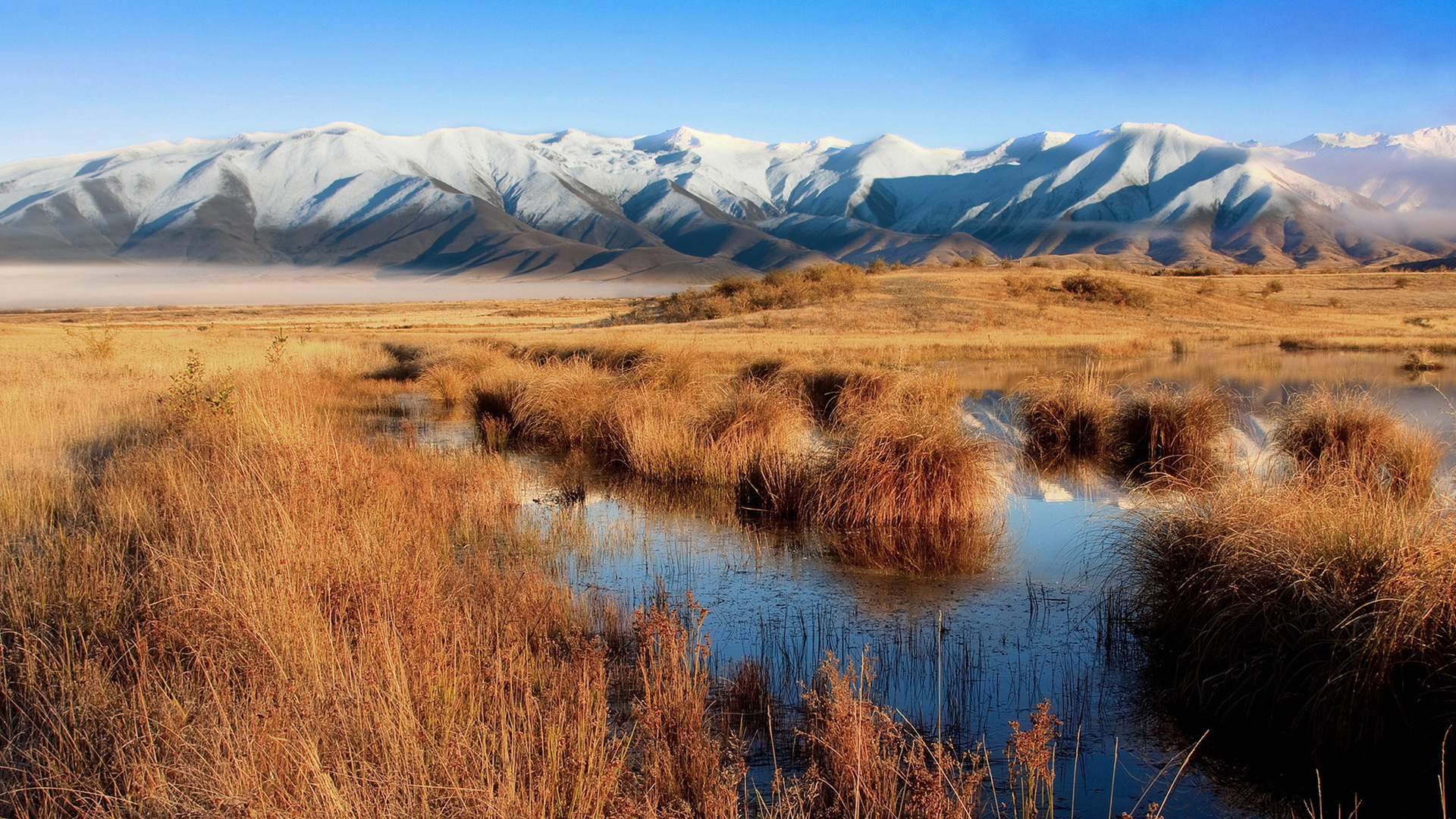 Болото и горы