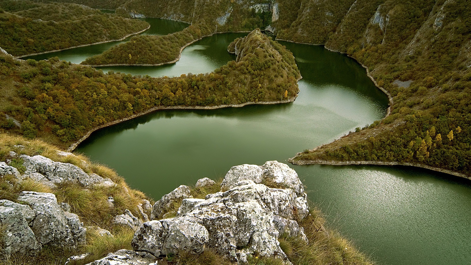 Извилистая река