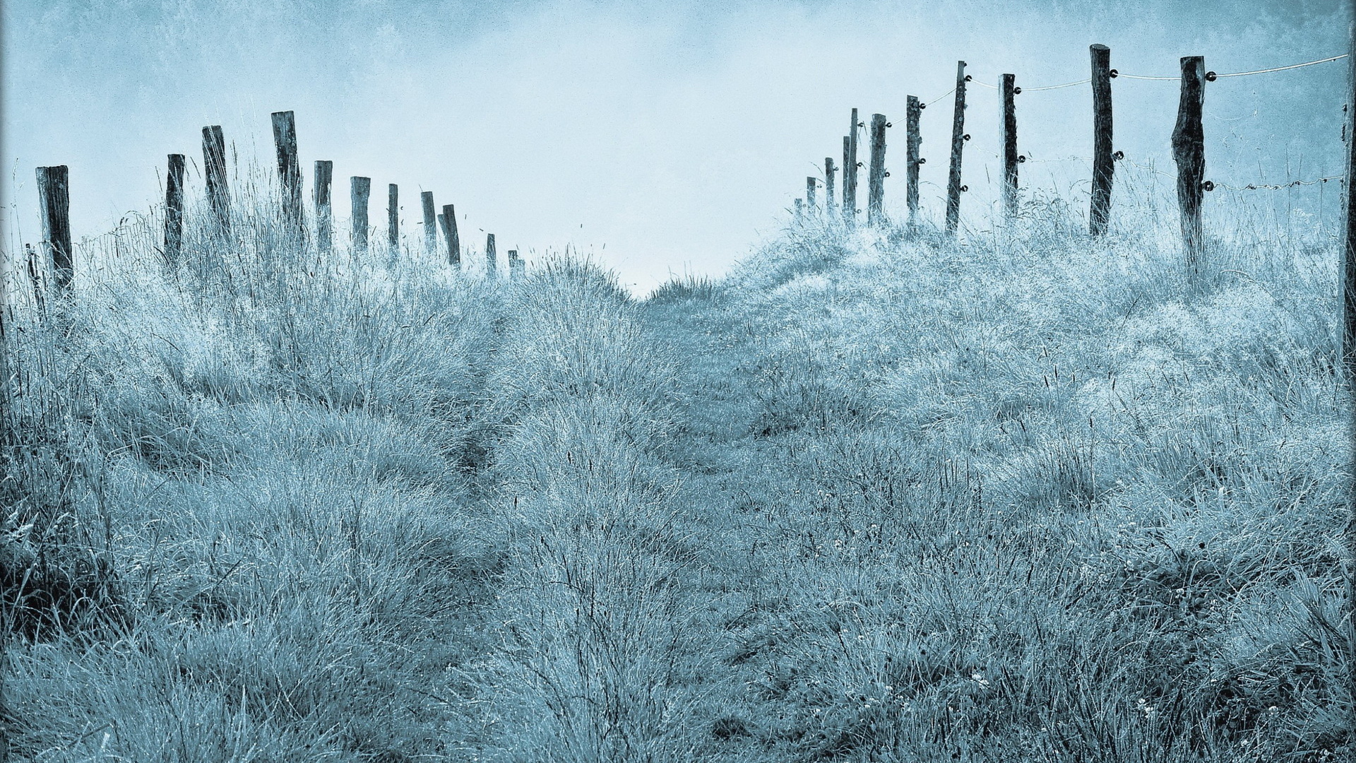 Туманным утром