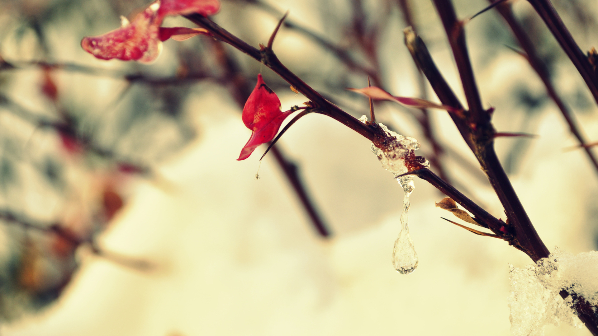 Замерзшая капля