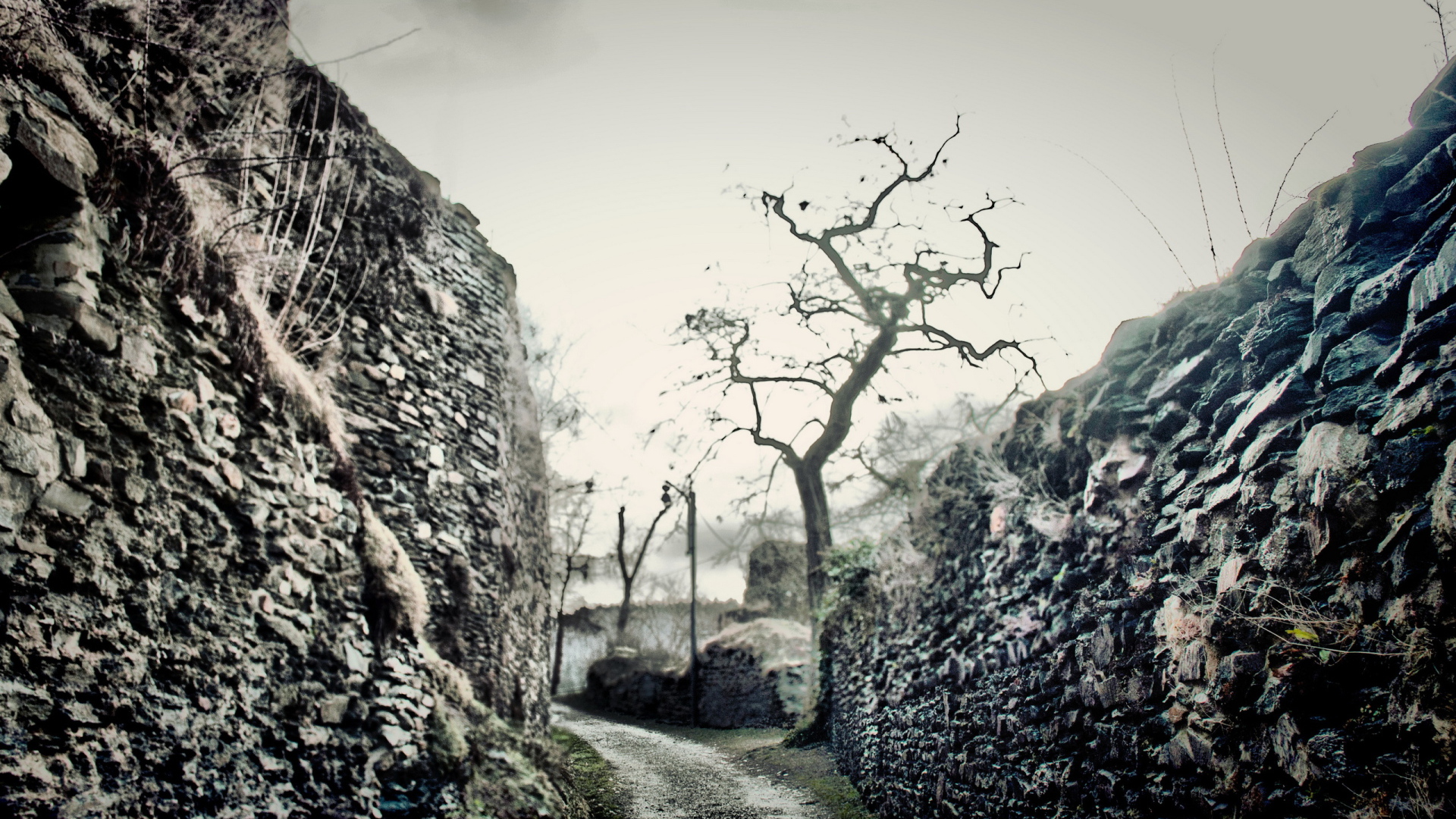 Дорожка между стен