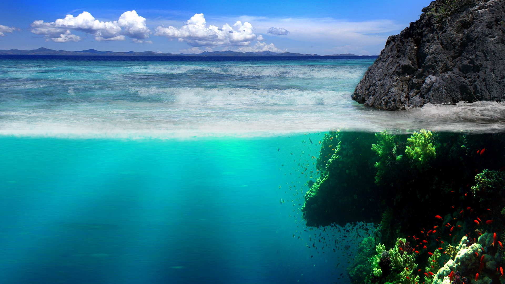 Подводный мир