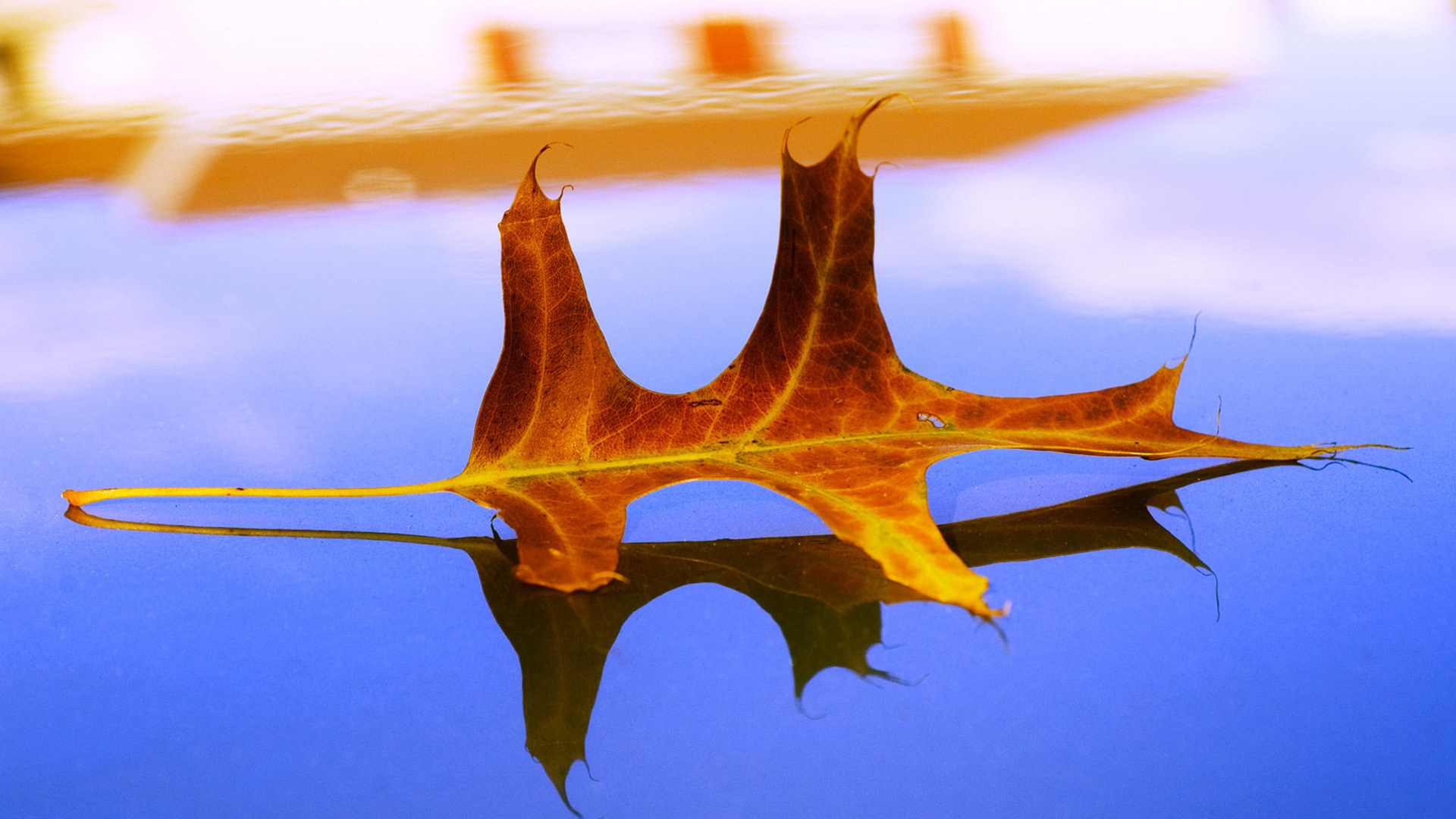 Засохший листок