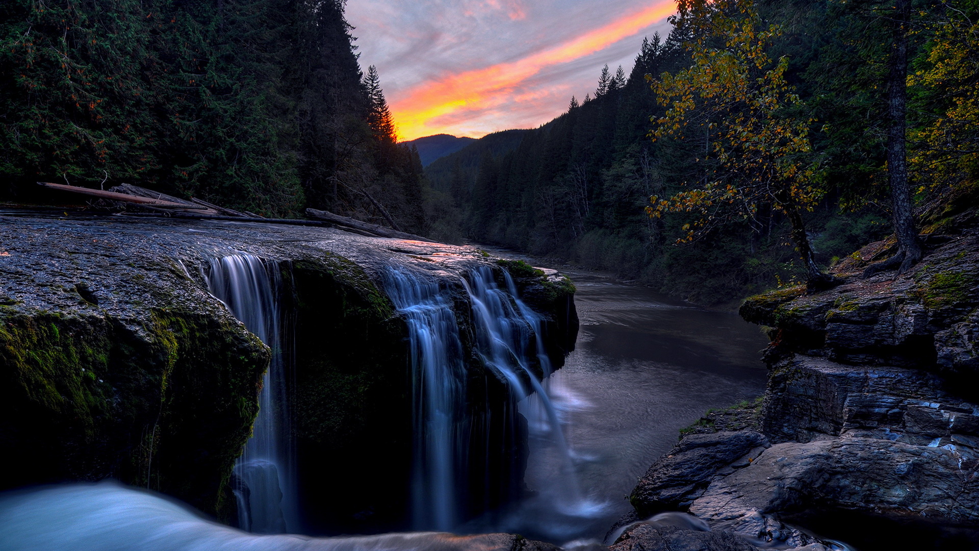 Речка в лесу