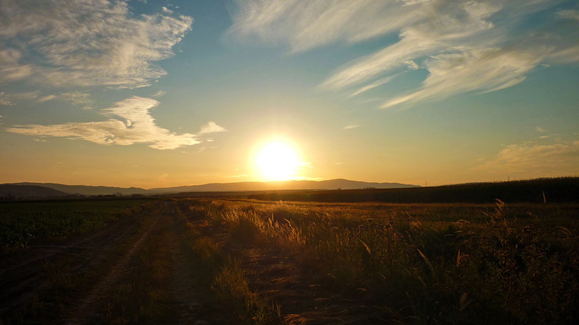 Закат в поле