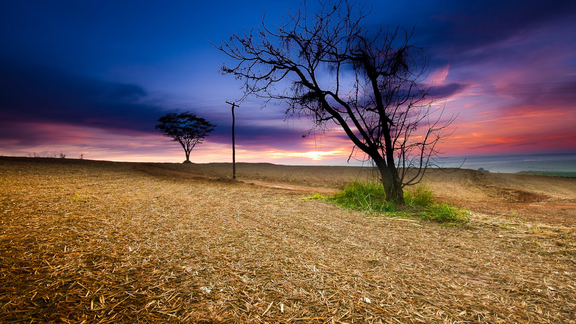 Закат в поле