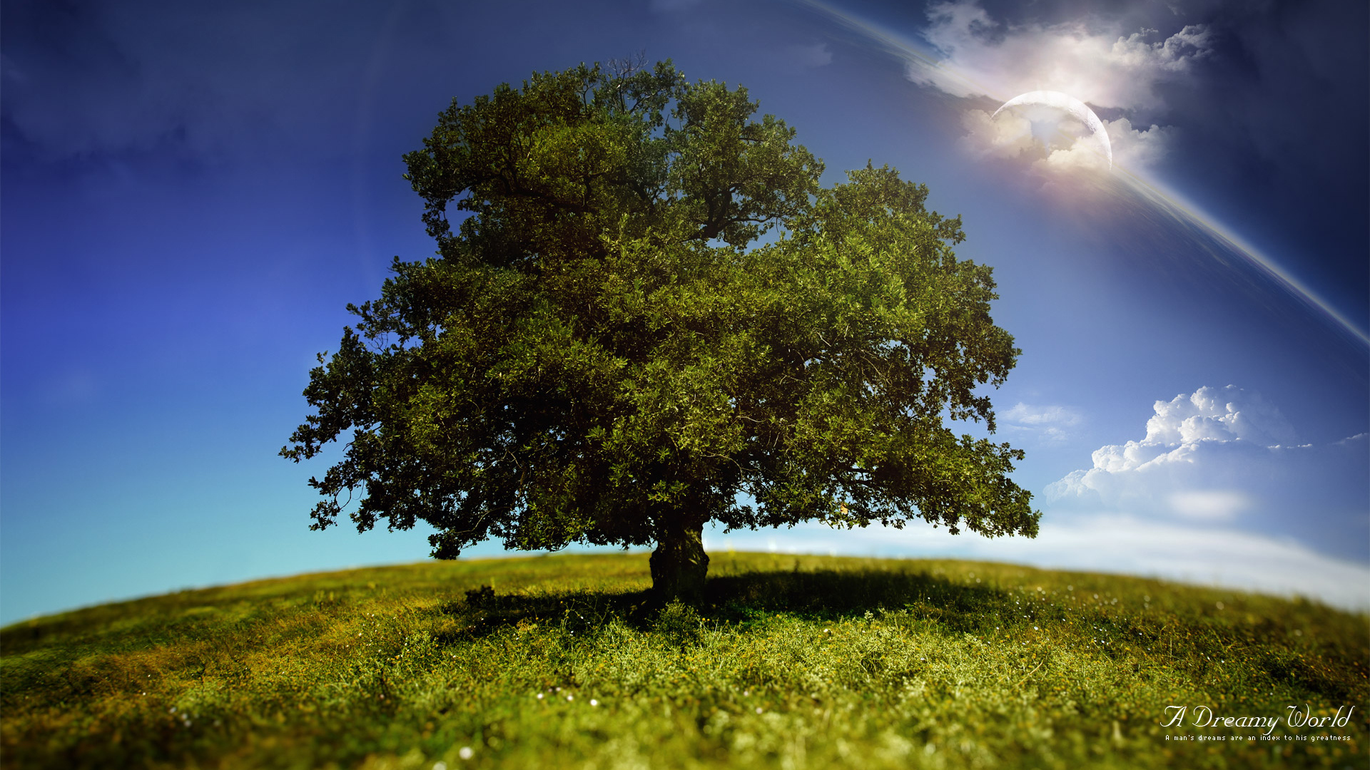 Мир фантазии