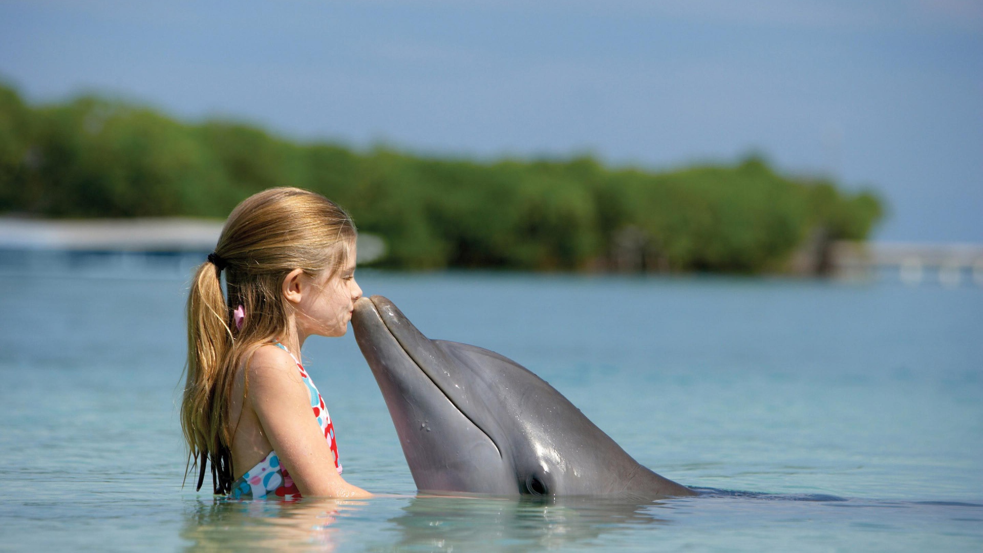 Дельфин и девочка