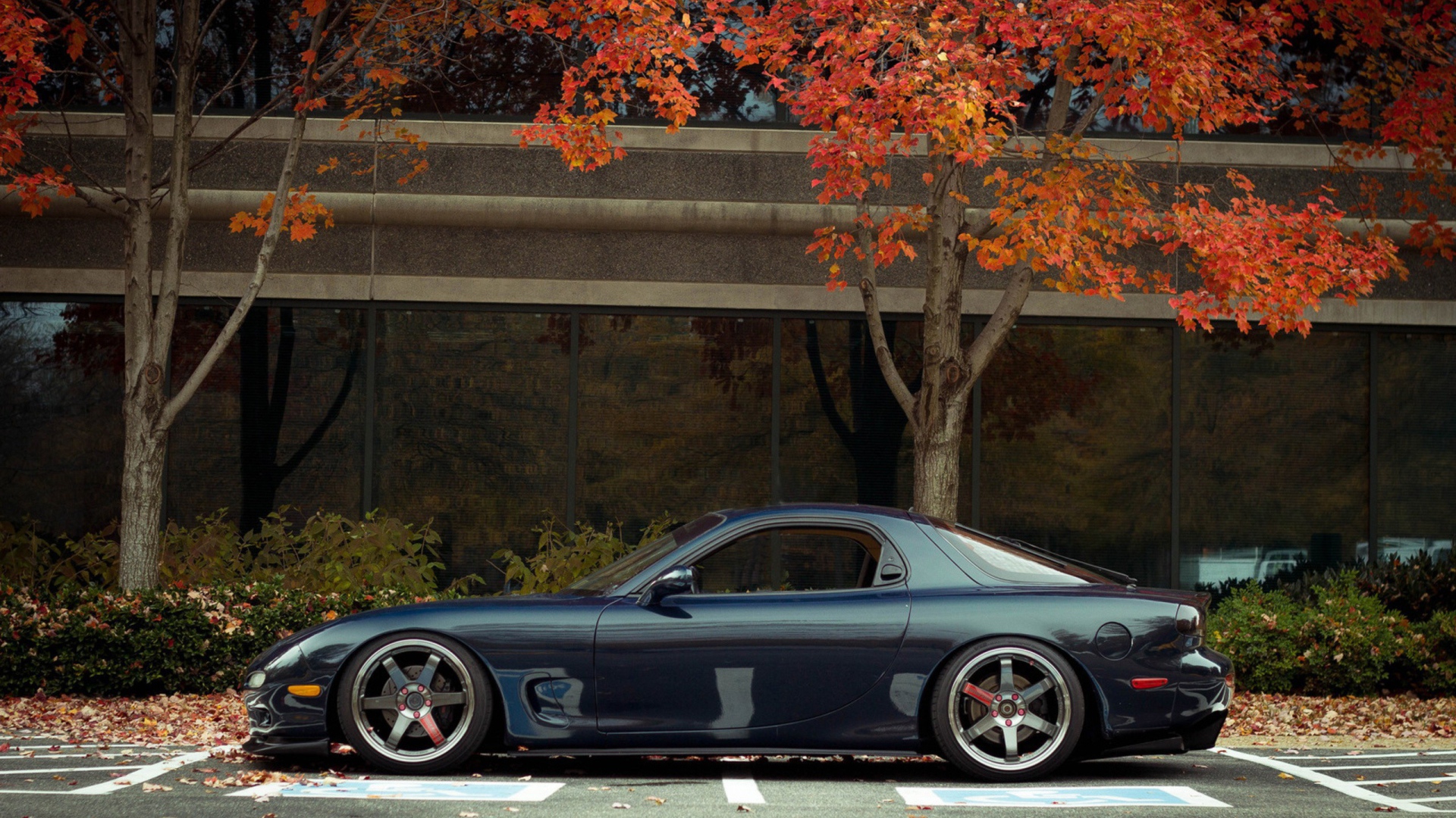 Синий Porsche 2012