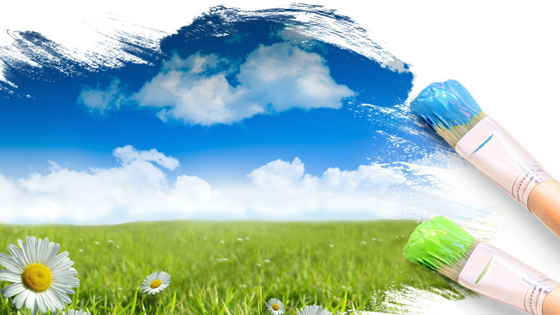 Красочный мир