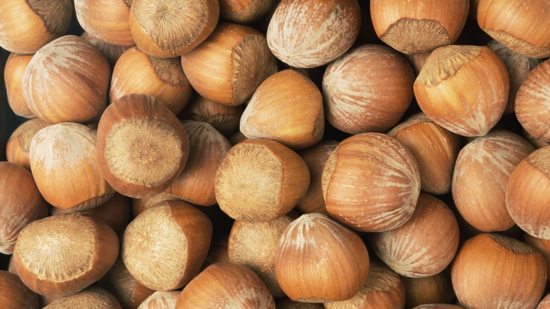 Лесные орехи