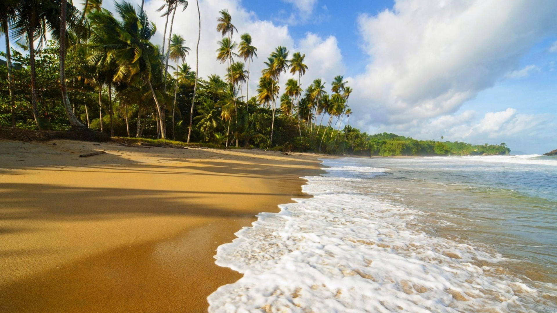 Пальмы и пляж