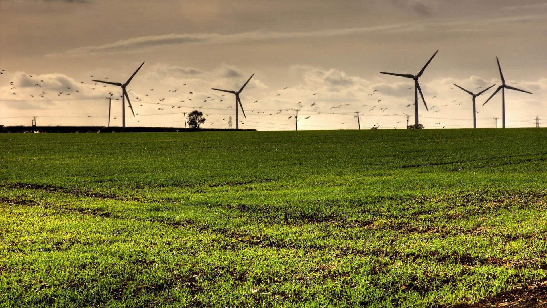 Турбины в полях