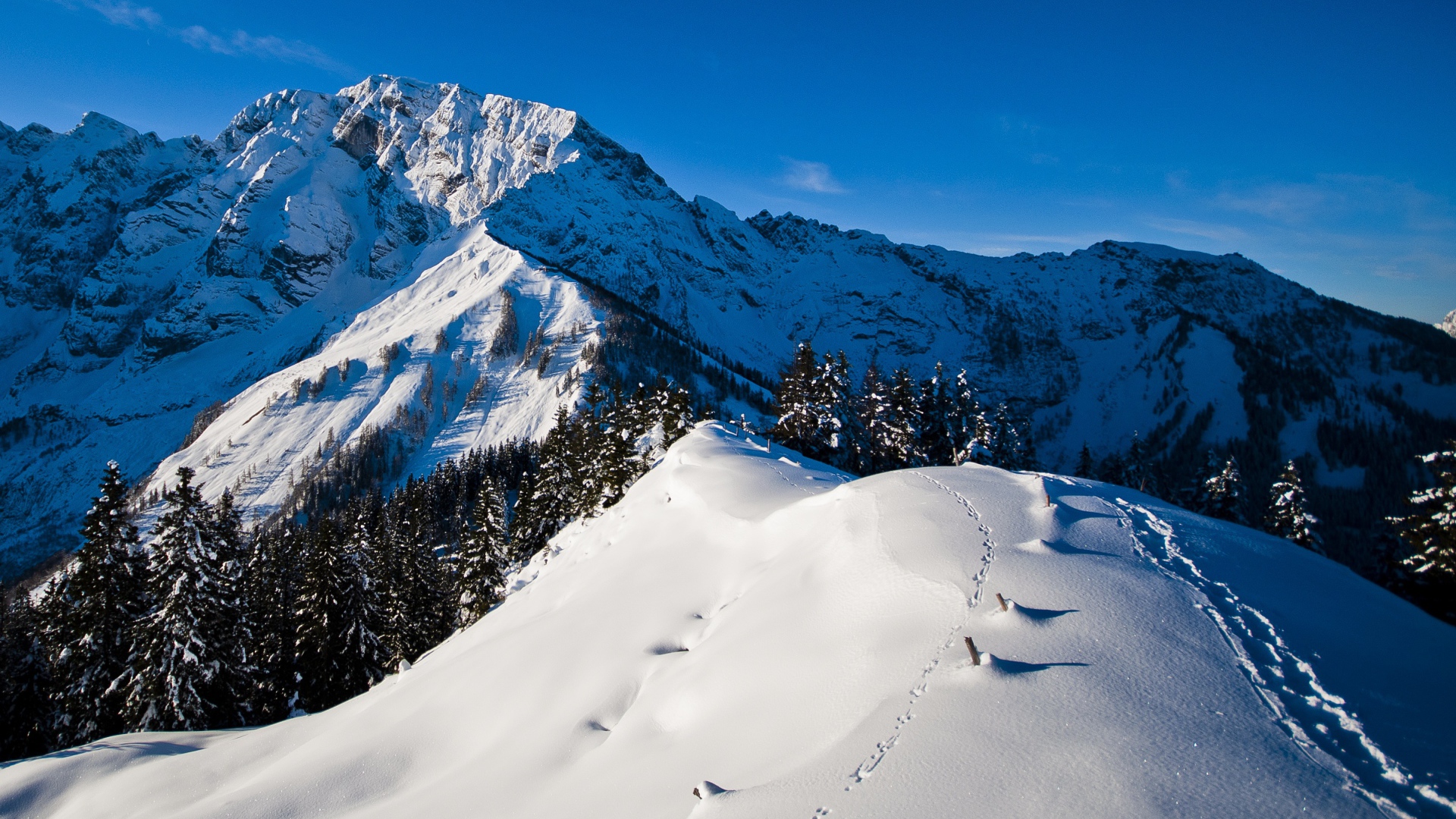 Утро в горах