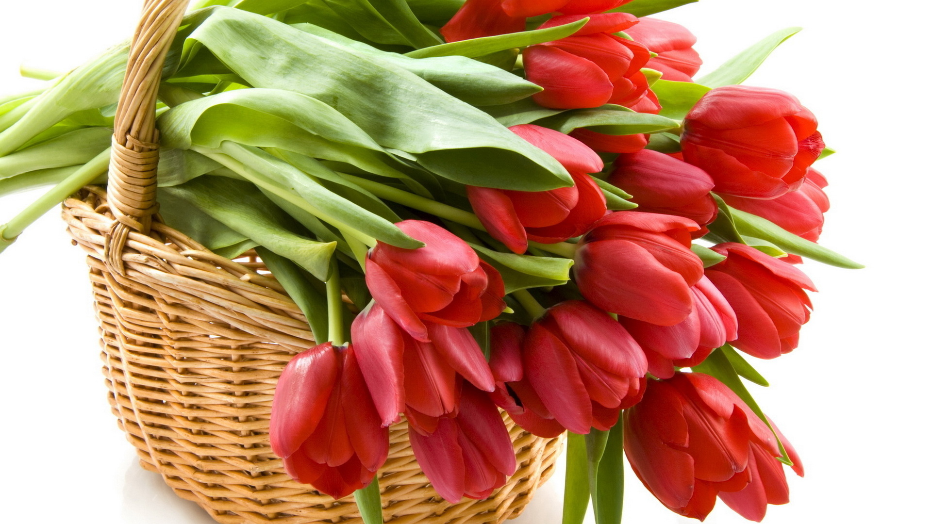 Тюльпаны в корзине