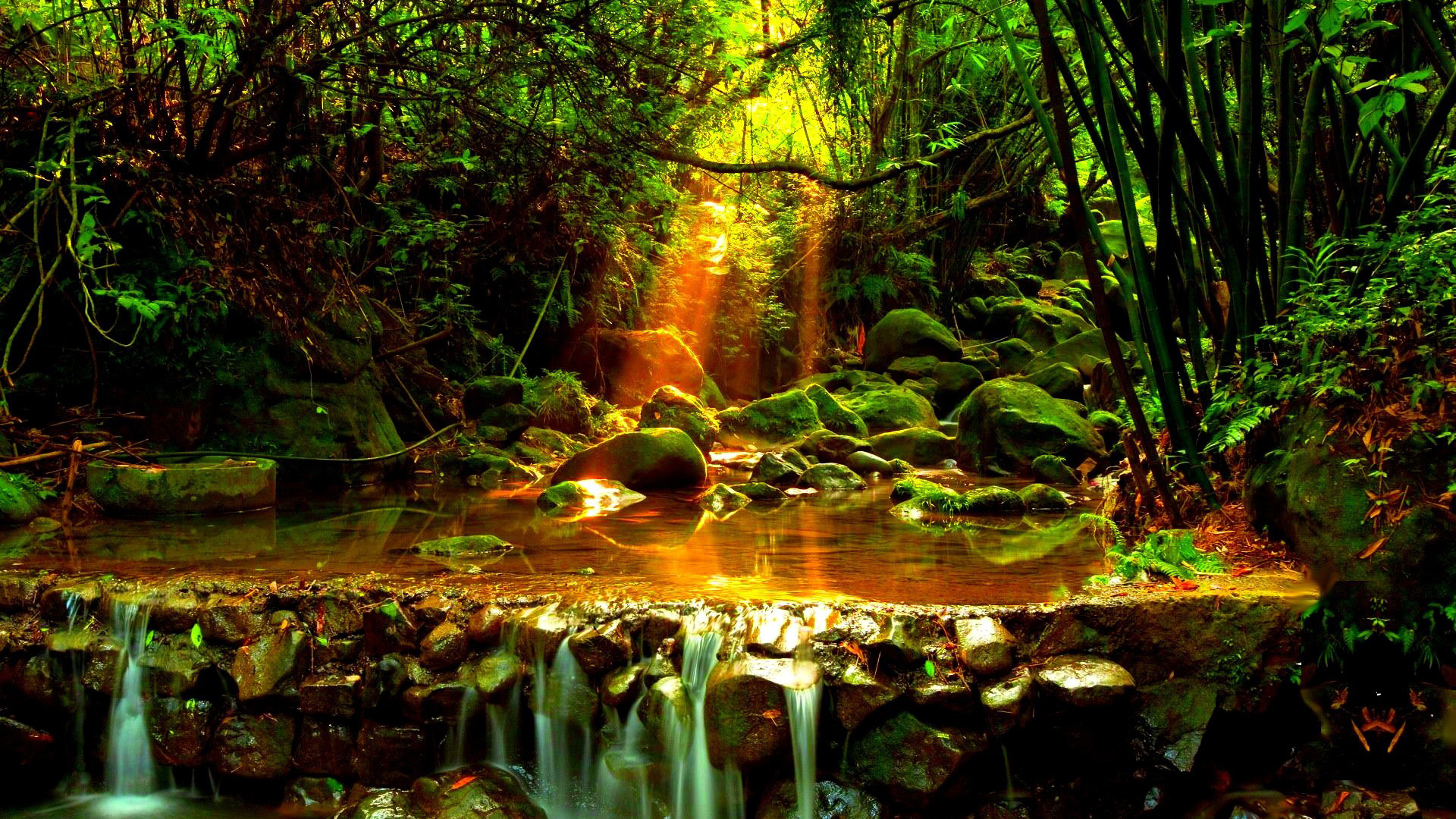 Лесной ручей