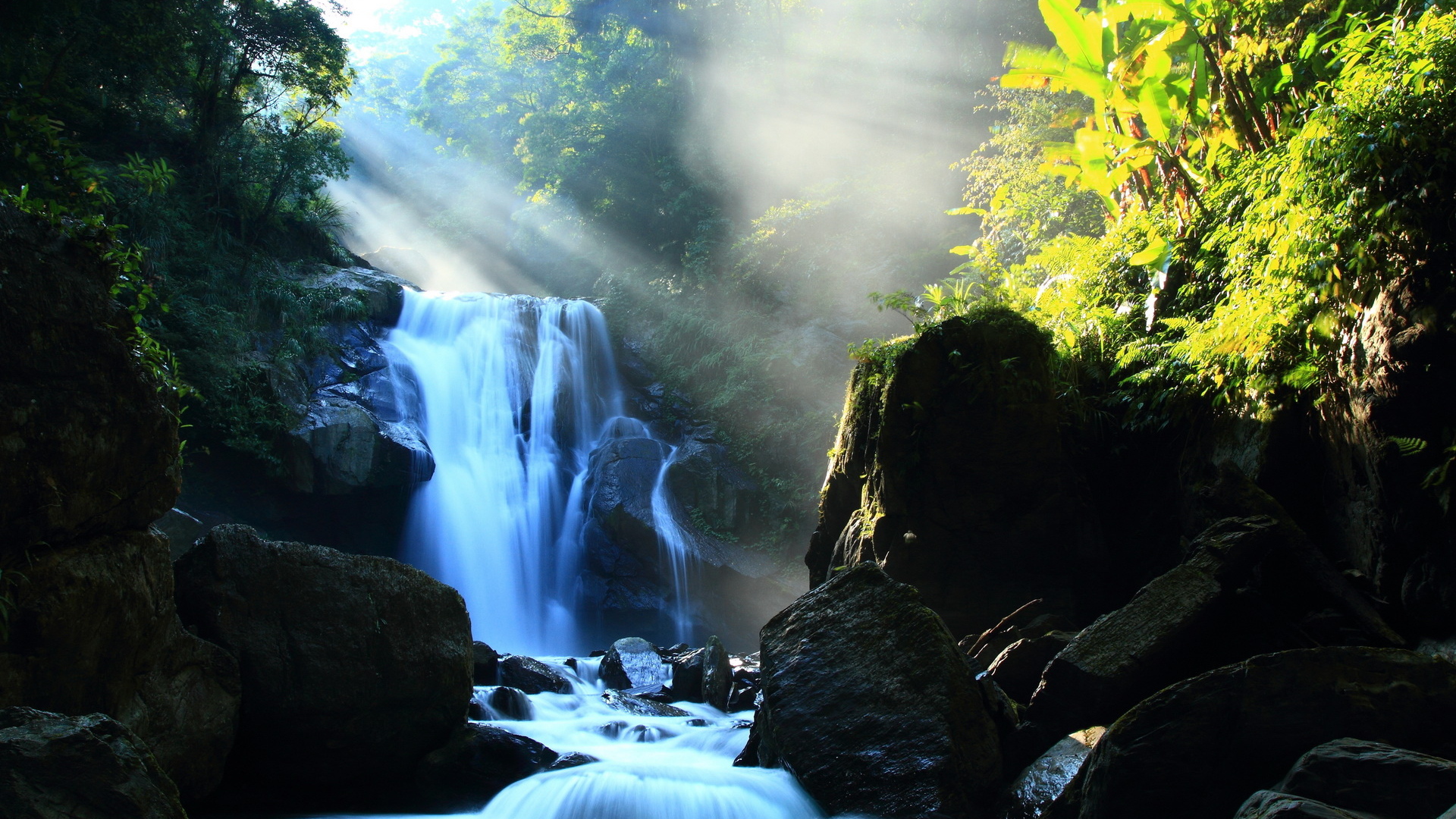 Речка в лесу