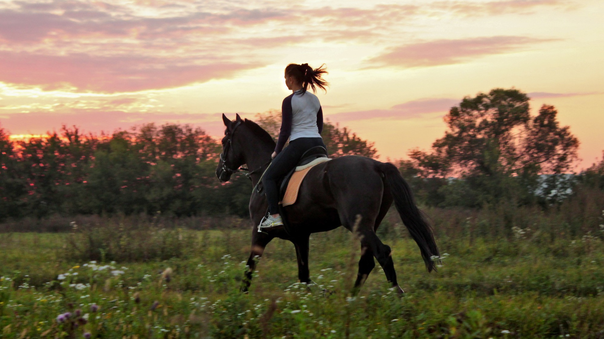 Прогулка на лошадях, закат