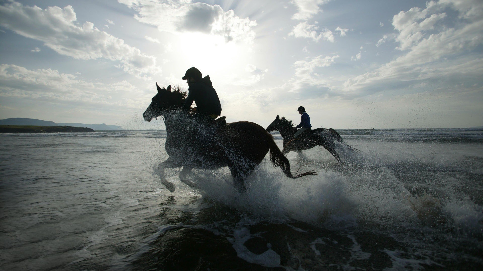 Лошади в воде