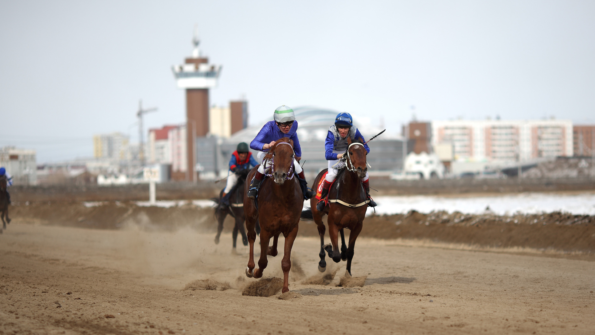 Лошади скакуны