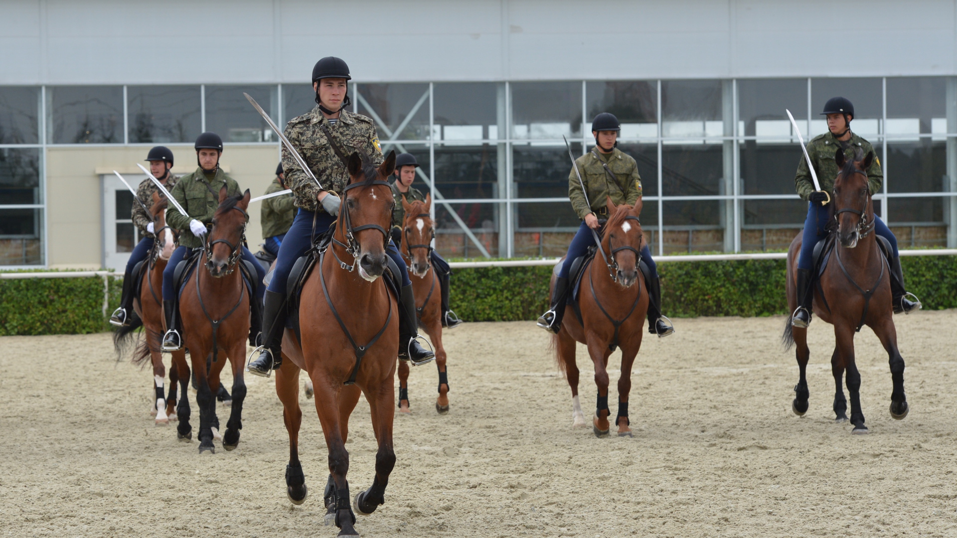 Верховая езда на лошади