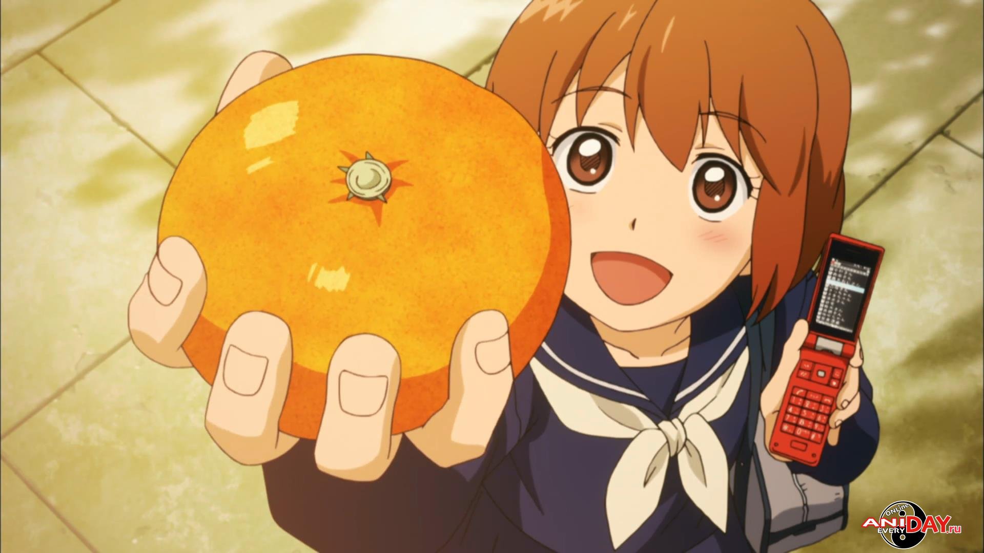 Серебряный лис