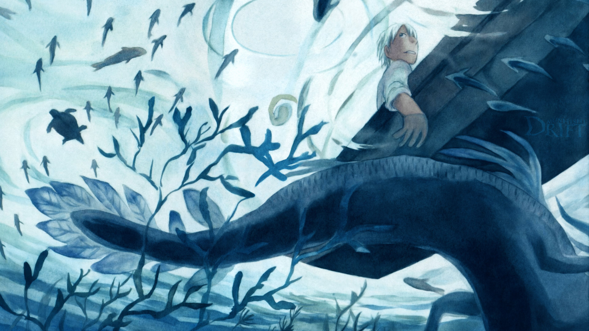 Мастер Муси