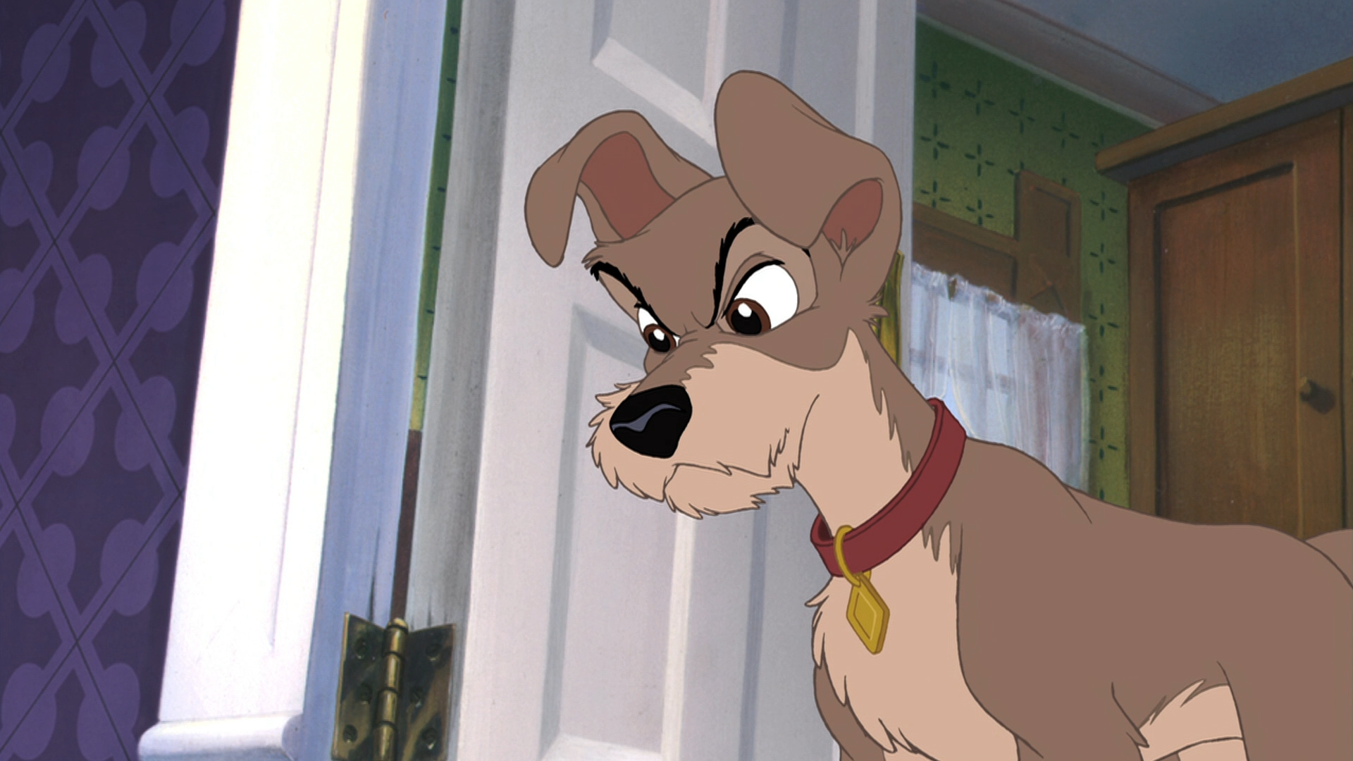 Приключения большого Джеффа