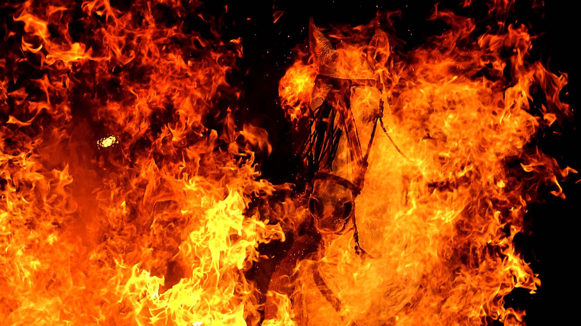 Год огненной лошади