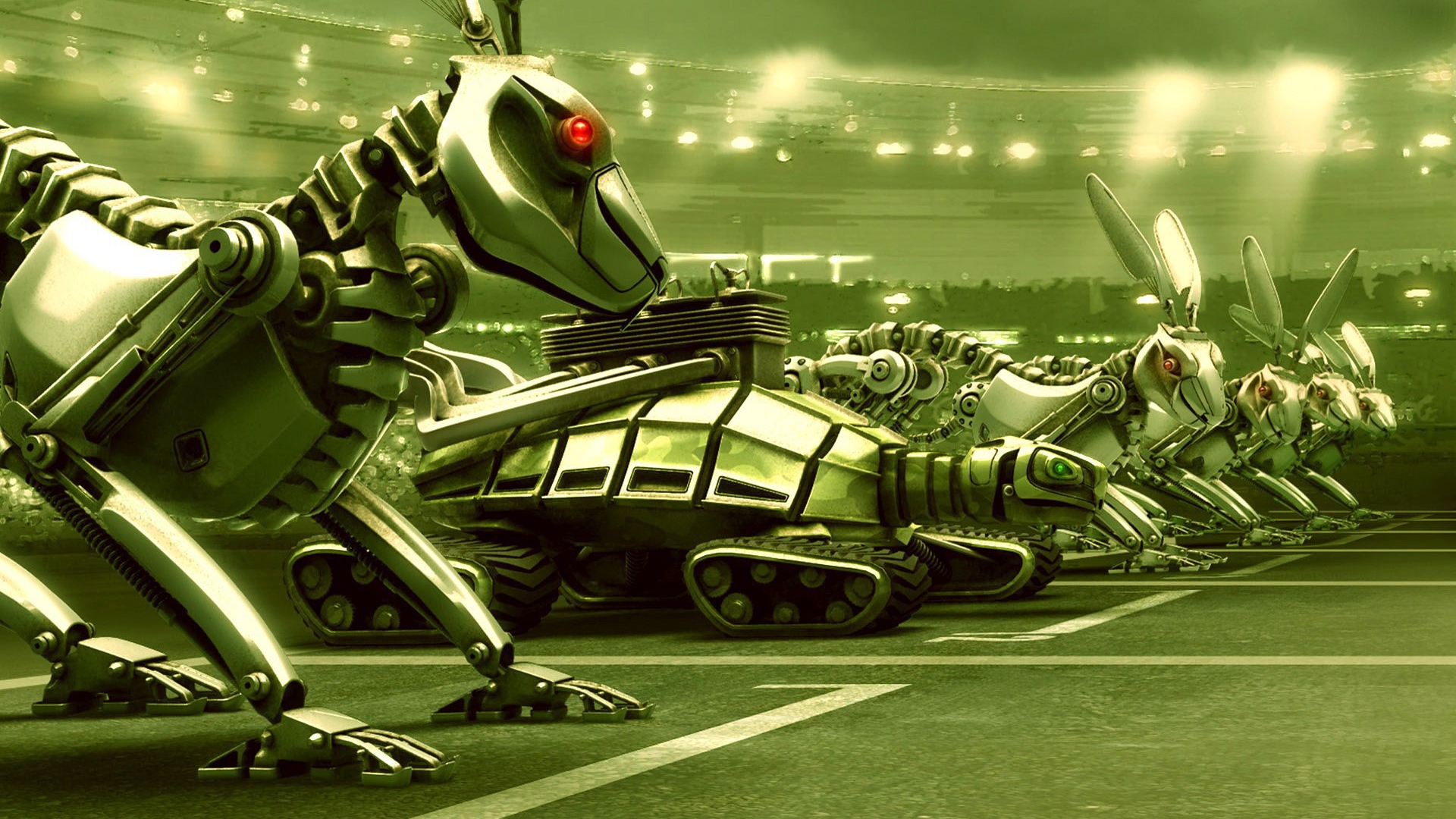 Гонка с черепахой