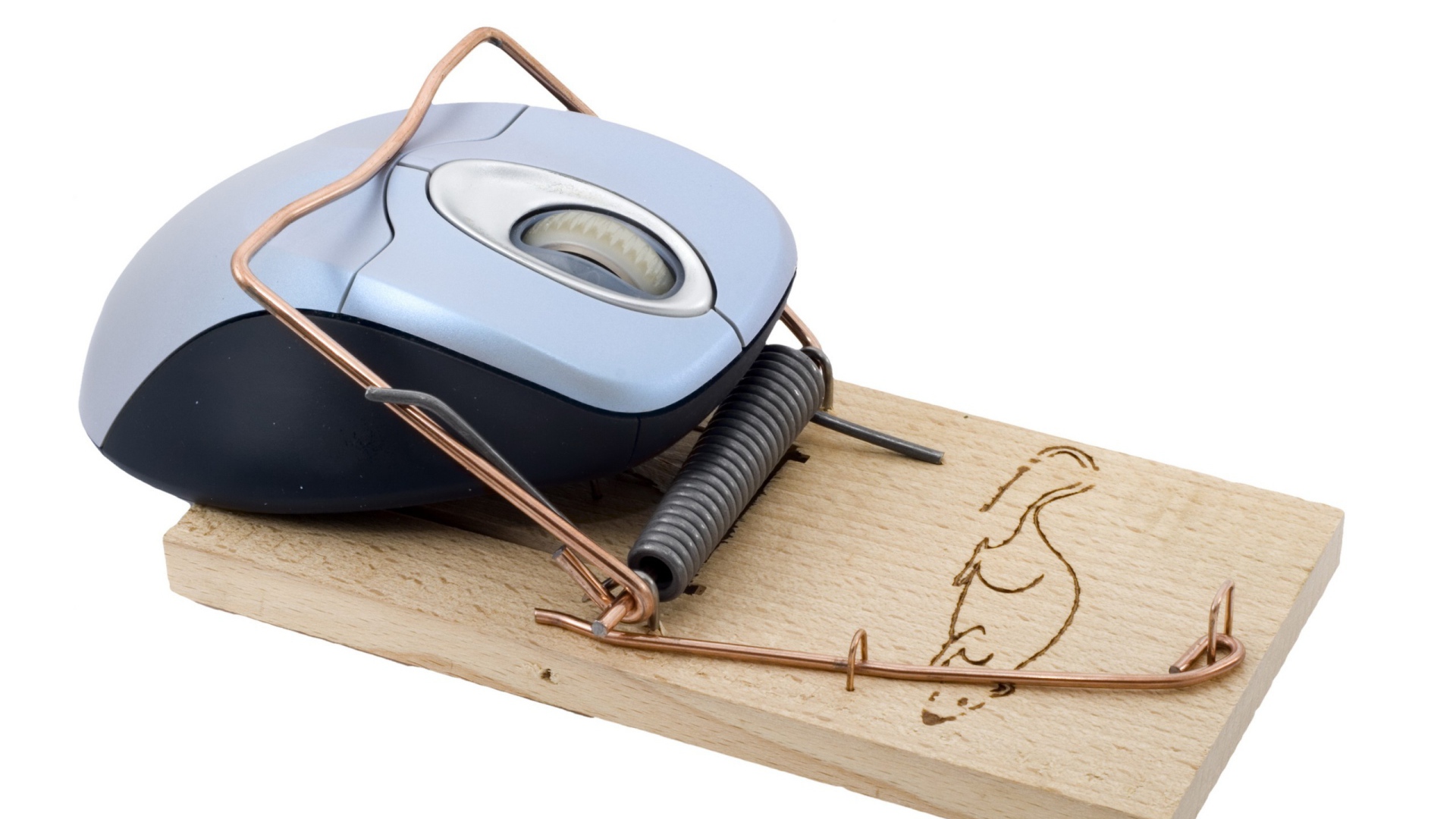 Мышка попалась