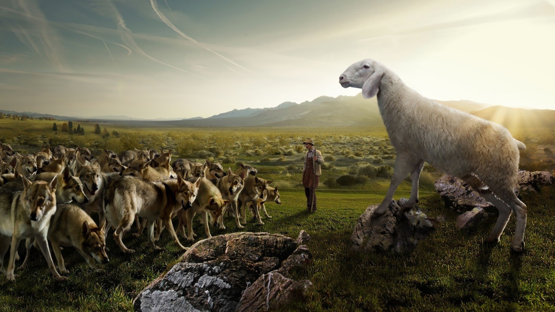 Волчий пастух