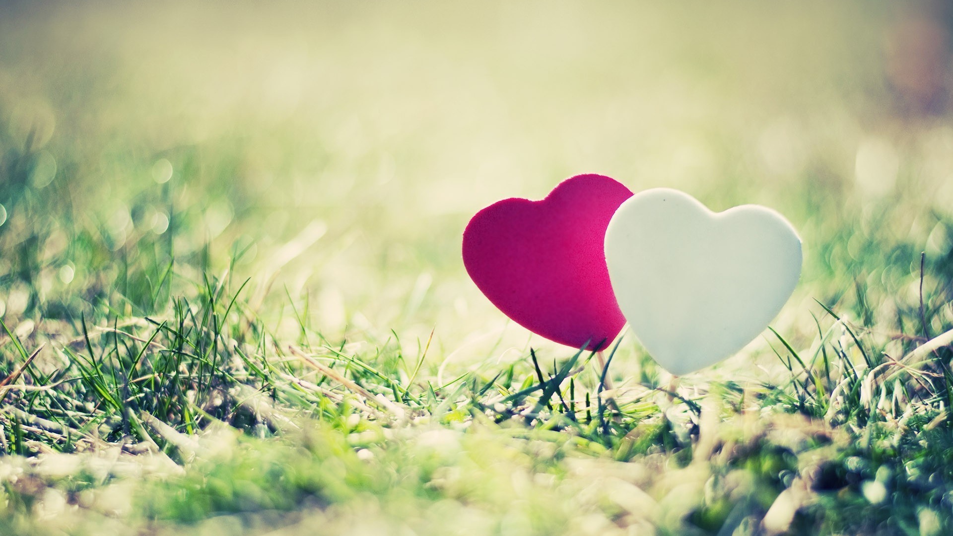 Два сердечка на траве