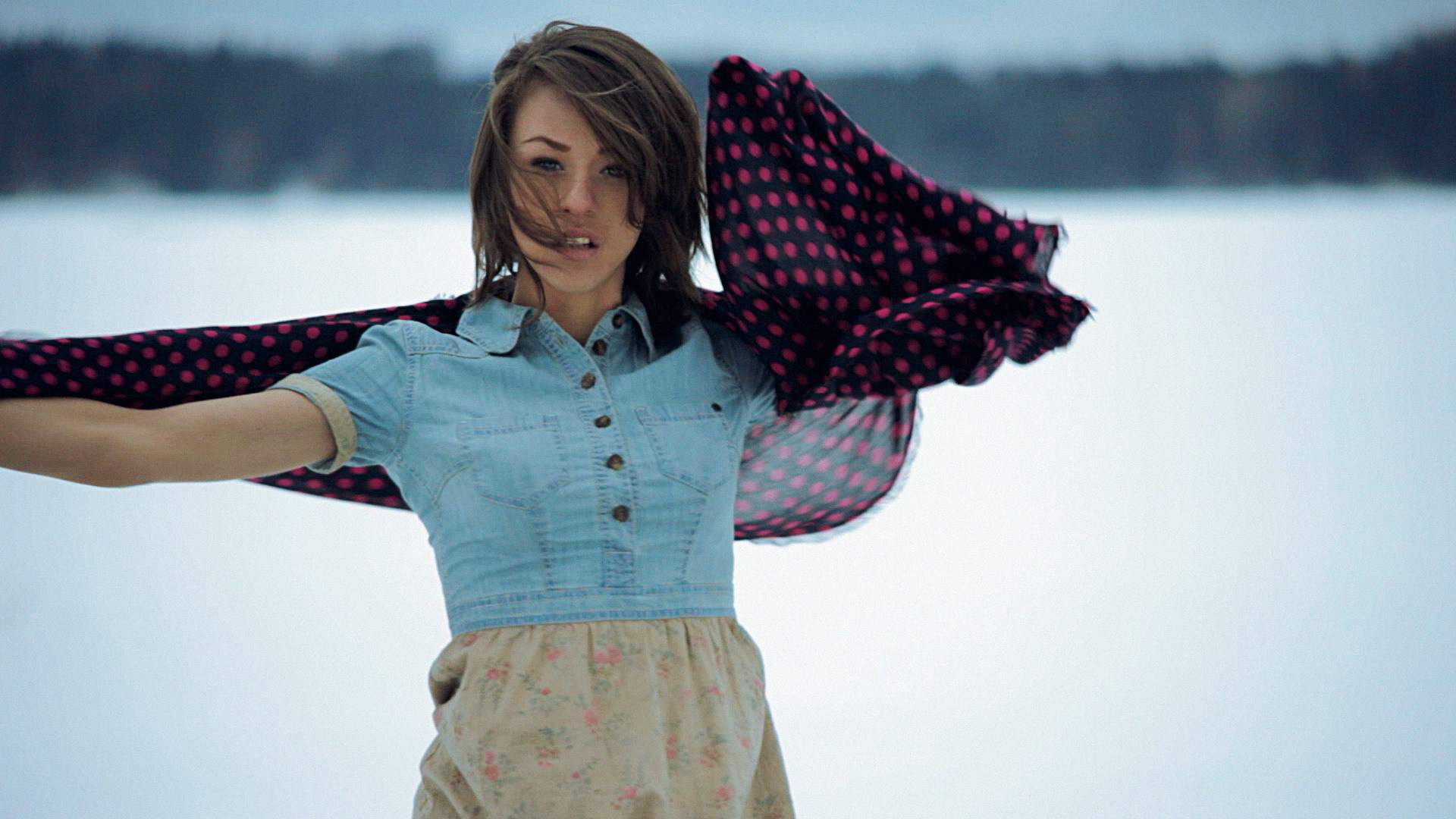 Iowa на фоне снега