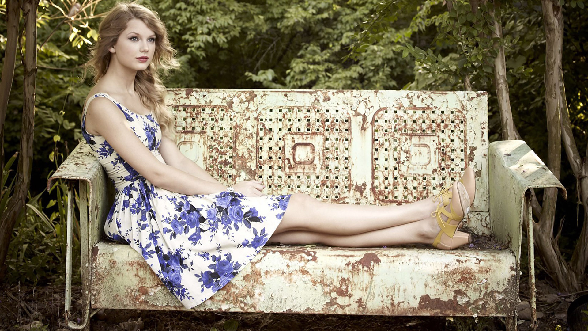 Taylor Swift на старой скамейке