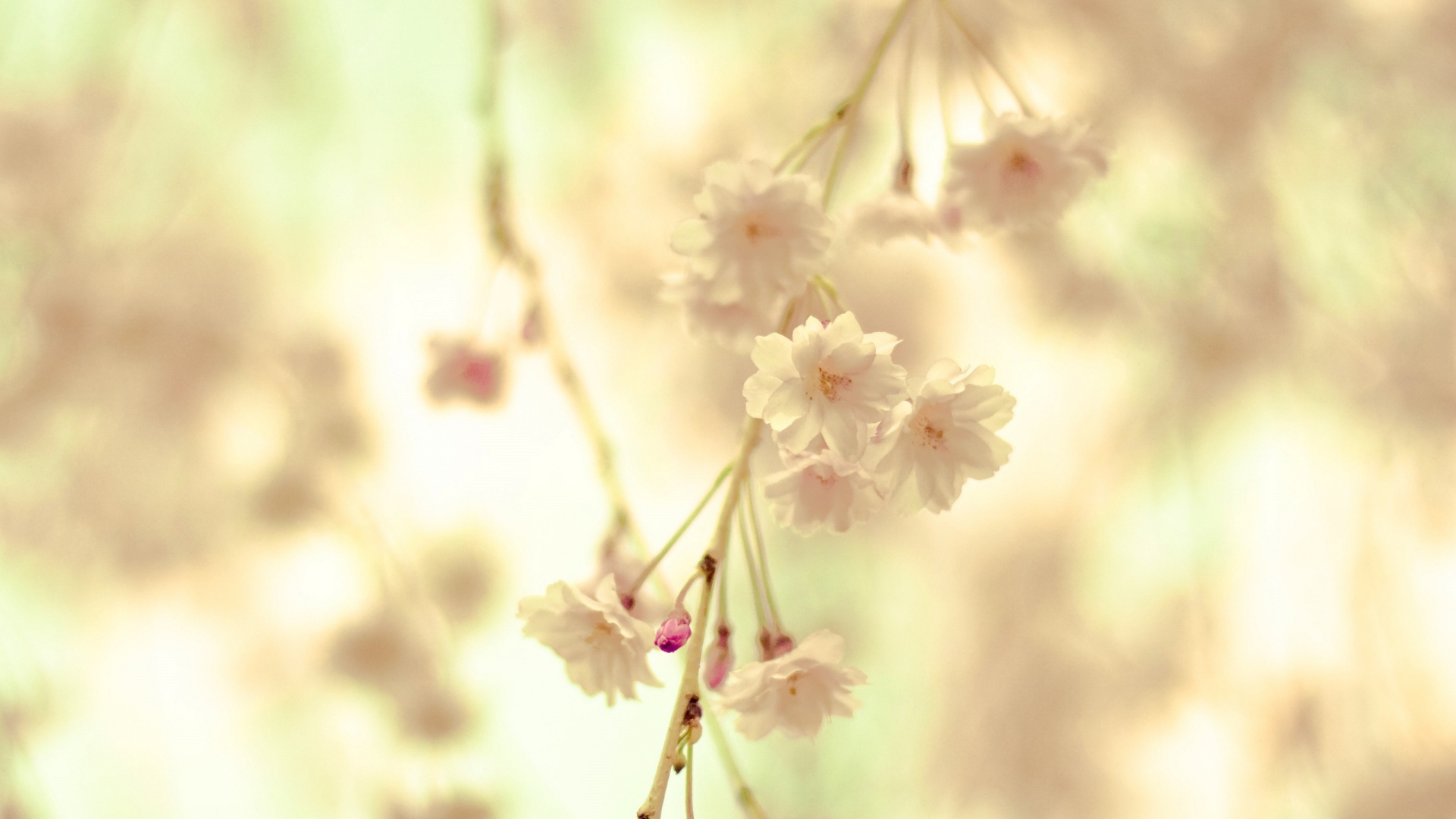 Цветочная веточка