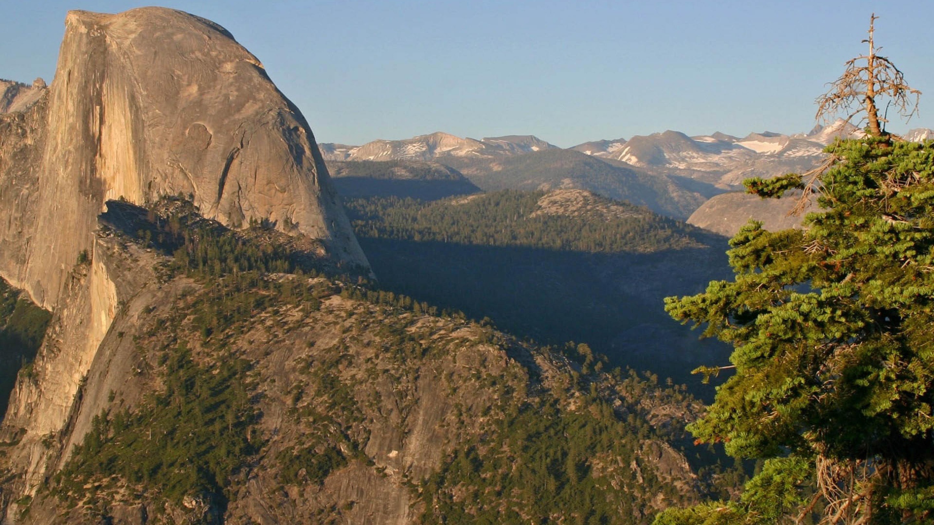 Горы и елка