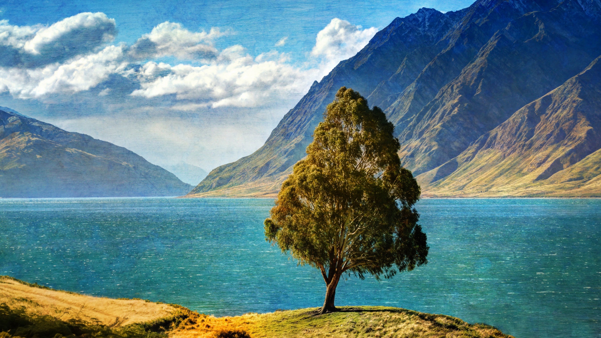 Дерево у озера