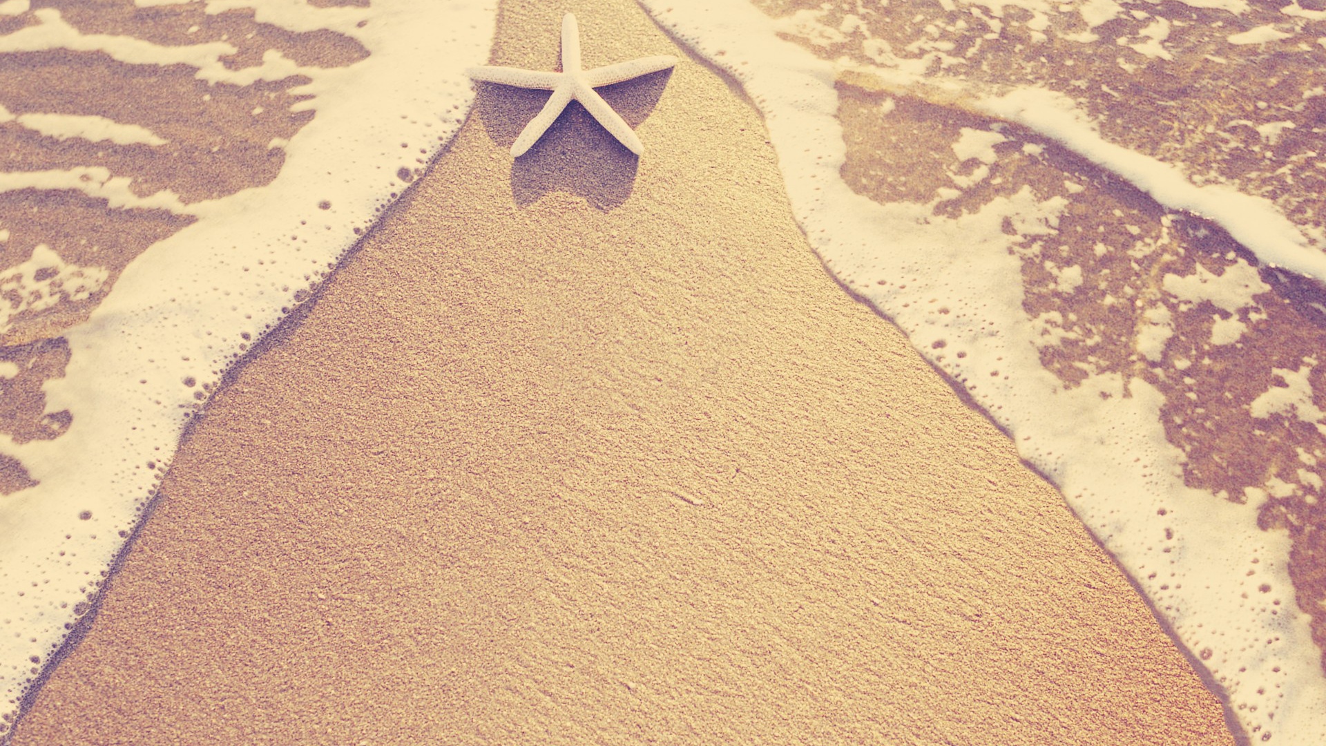 Морская звезда на пляже